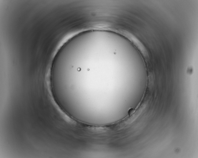 X0000103941432200809191406