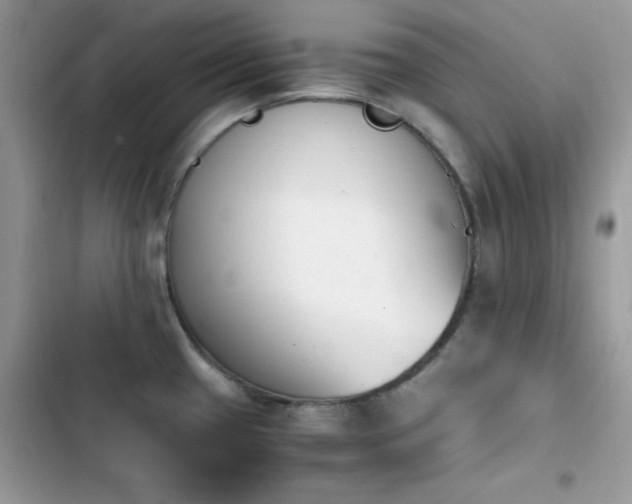 X0000103941433200809191406