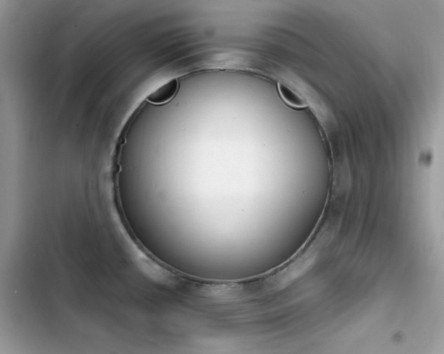 X0000103941434200809191406