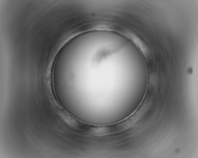 X0000103941435200809191407