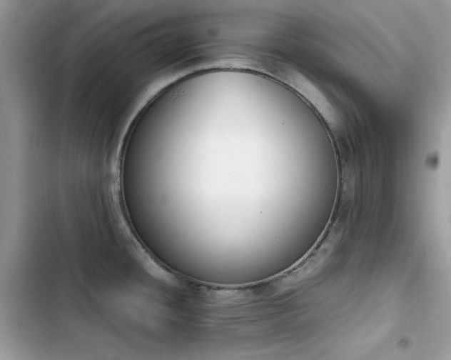 X0000103941436200809191407