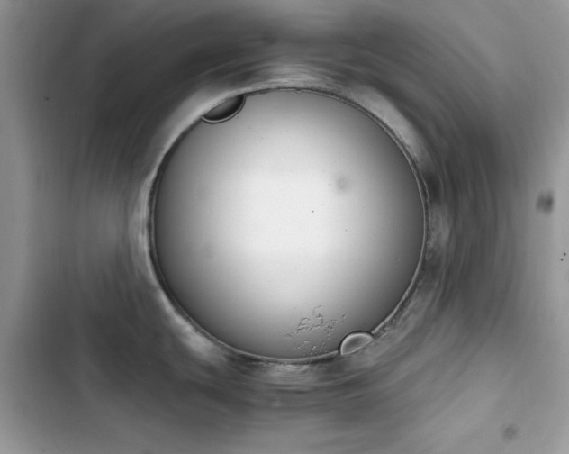 X0000103941439200809191407