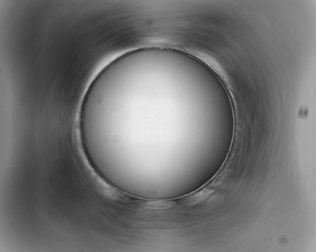 X0000103941440200809191407