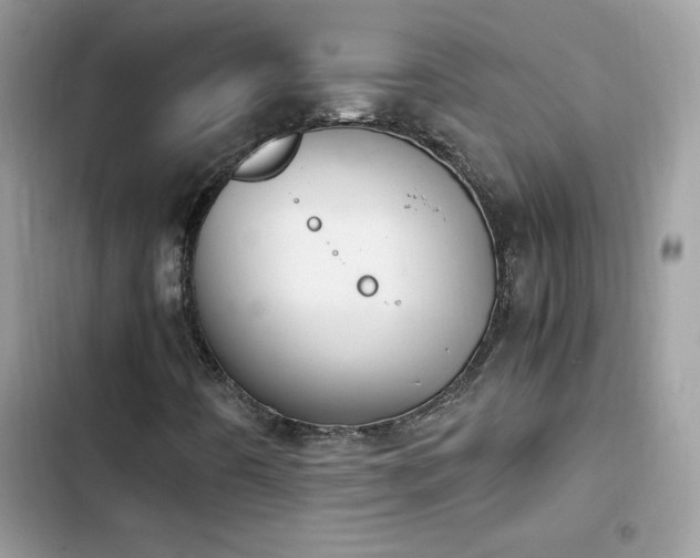 X0000103941442200809191406