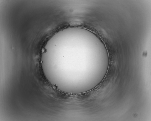 X0000103941445200809191406