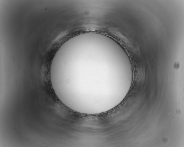 X0000103941446200809191406