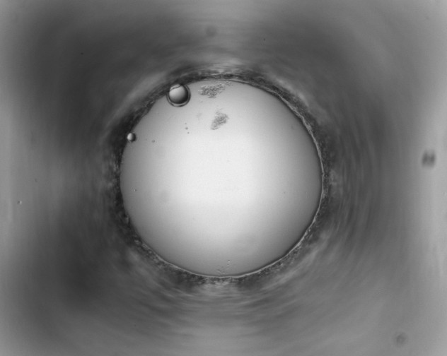 X0000103941447200809191406