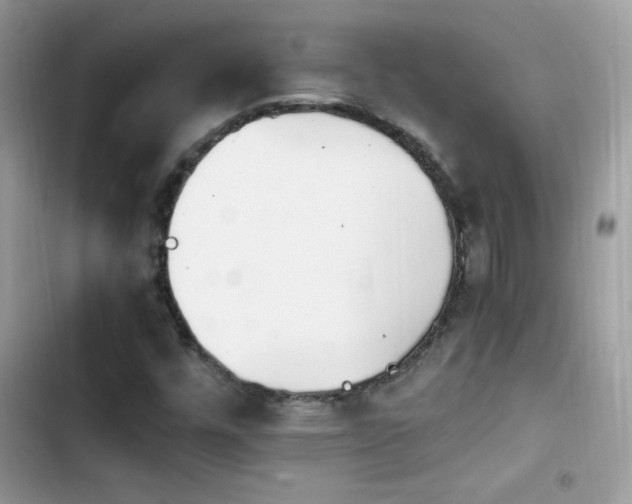 X0000103941448200809191406
