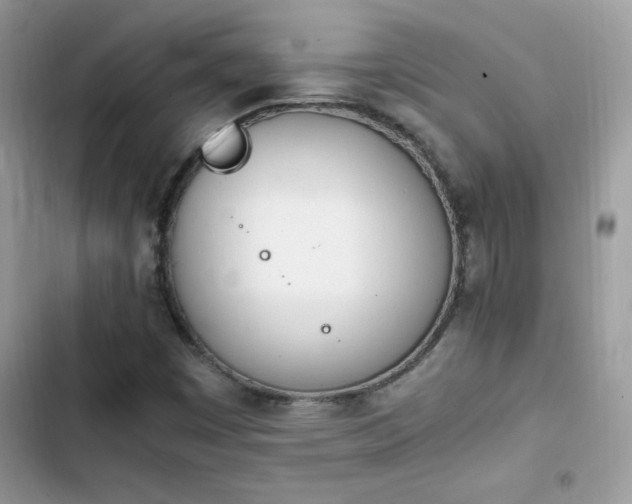 X0000103941449200809191406