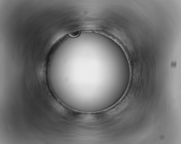 X0000103941450200809191406