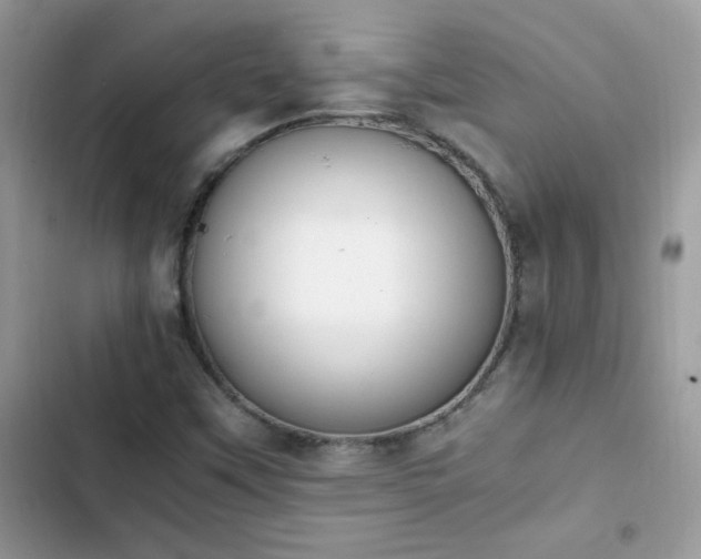 X0000103941451200809191406