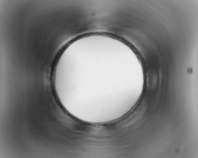 X0000103941452200809191406