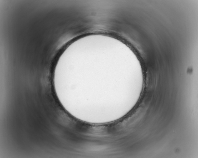 X0000103941453200809191406