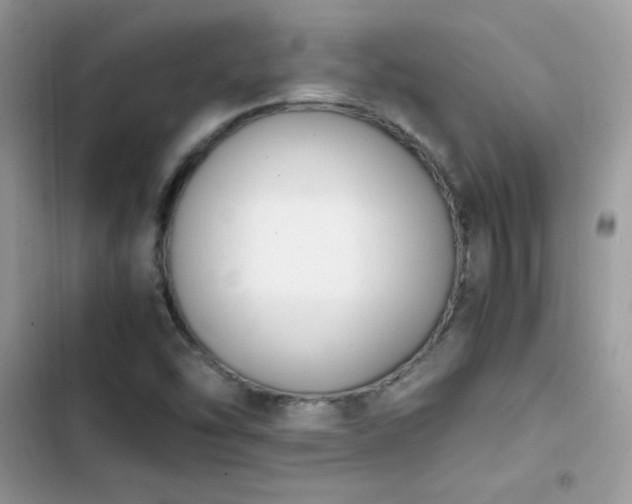 X0000103941454200809191406