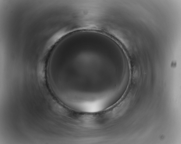 X0000103941455200809191406