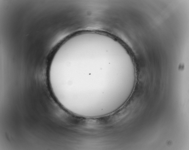 X0000103941456200809191406