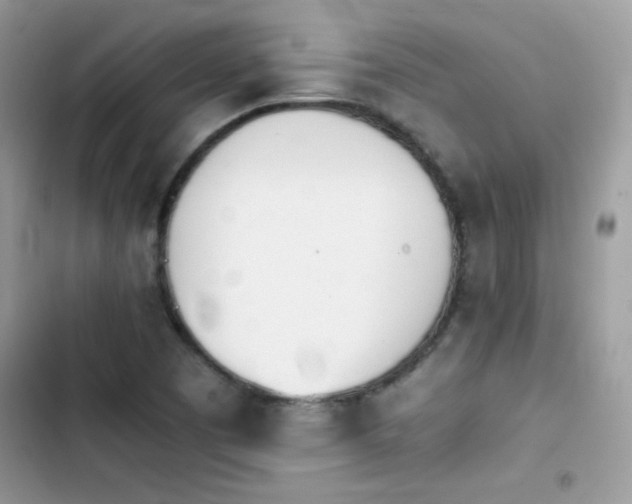 X0000103941457200809191406
