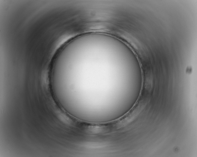 X0000103941458200809191406