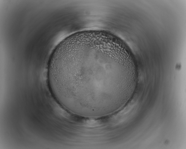 X0000103941459200809191406