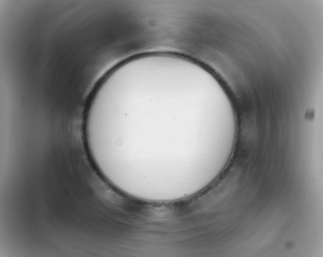 X0000103941460200809191406