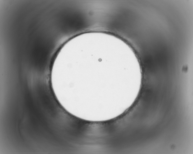 X0000103941461200809191406