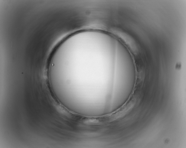 X0000103941462200809191406