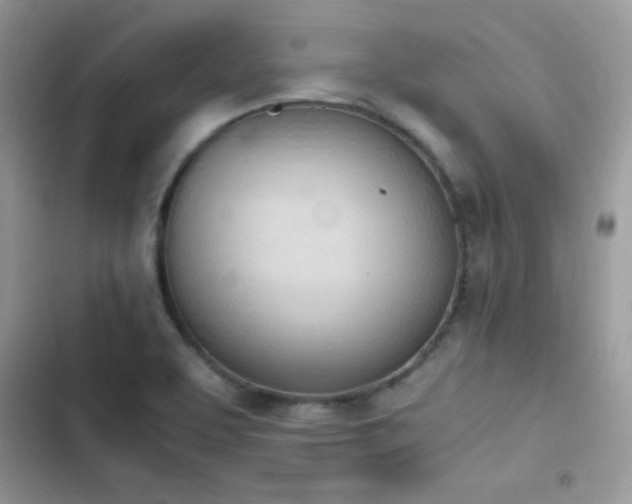 X0000103941463200809191406