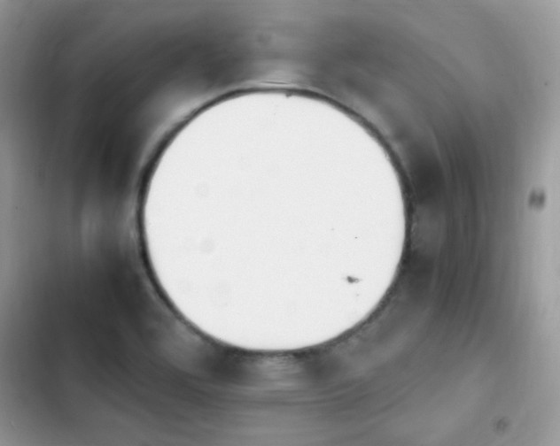 X0000103941464200809191406