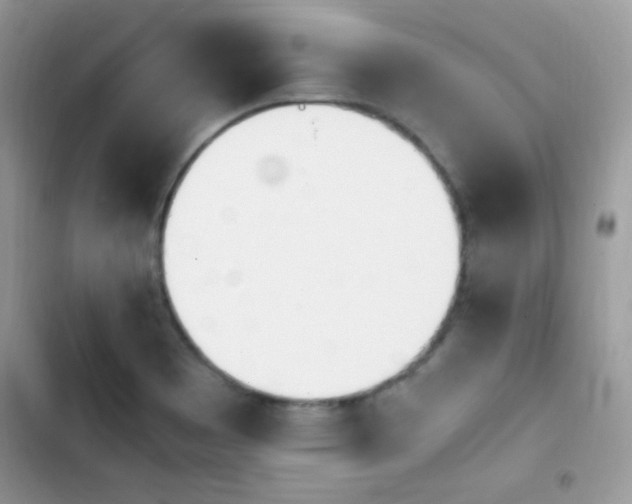 X0000103941465200809191406