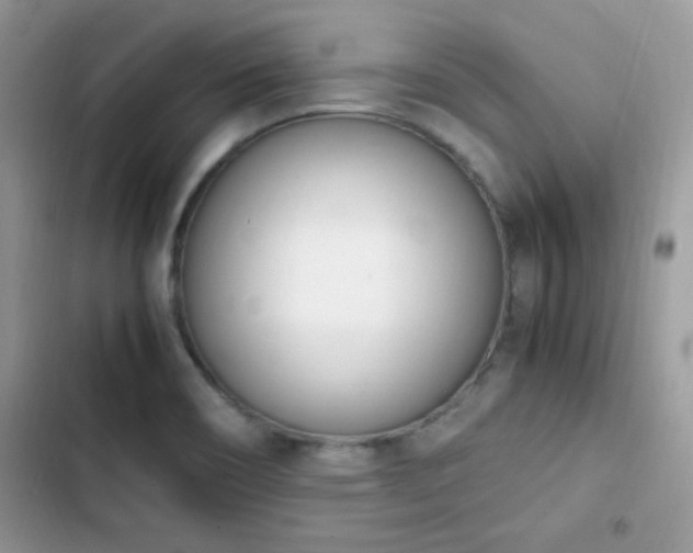 X0000103941466200809191406