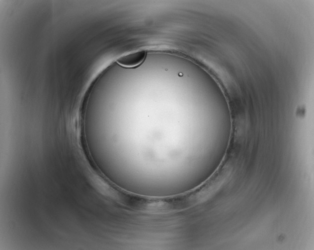 X0000103941467200809191405