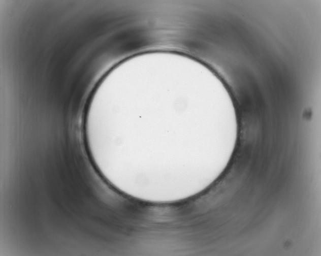 X0000103941468200809191405