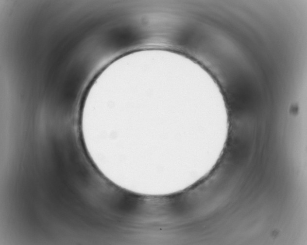 X0000103941469200809191405