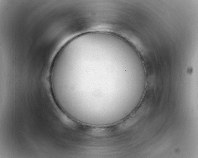 X0000103941470200809191405