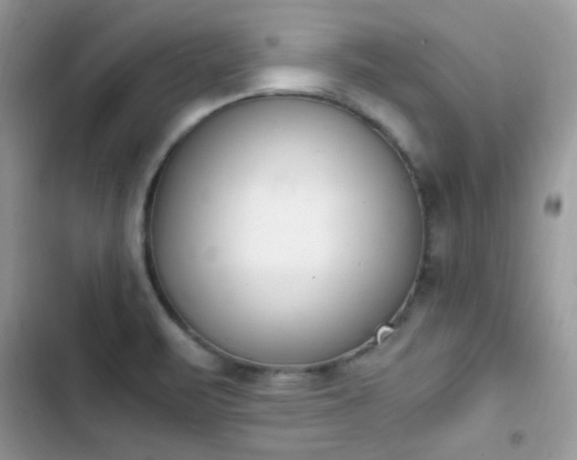 X0000103941471200809191405