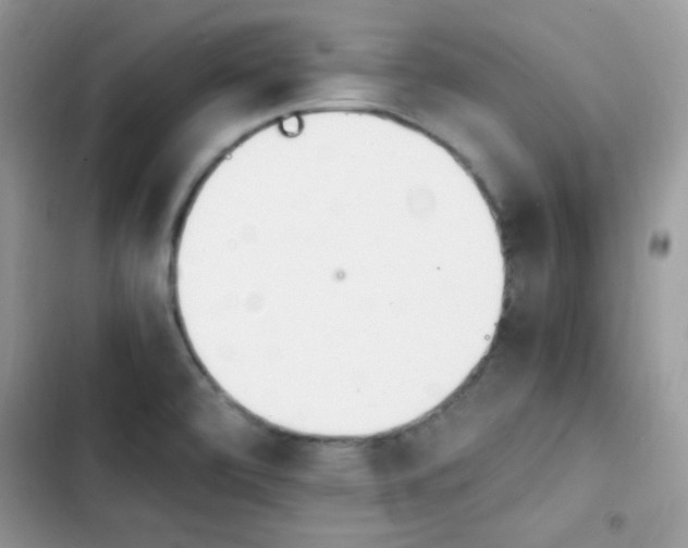 X0000103941472200809191405