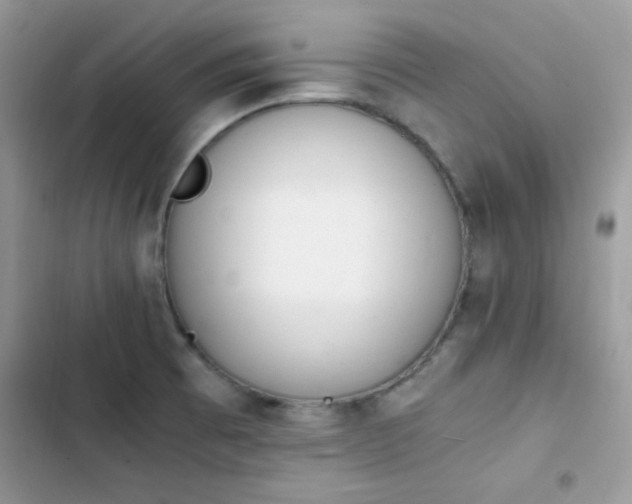 X0000103941473200809191405