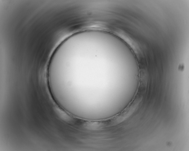 X0000103941474200809191405