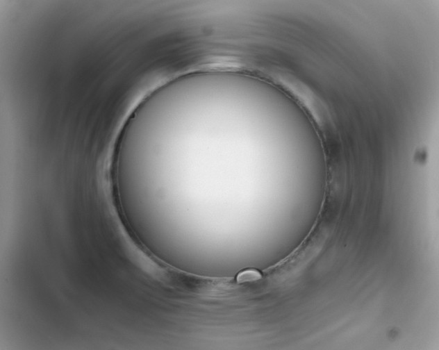 X0000103941475200809191405