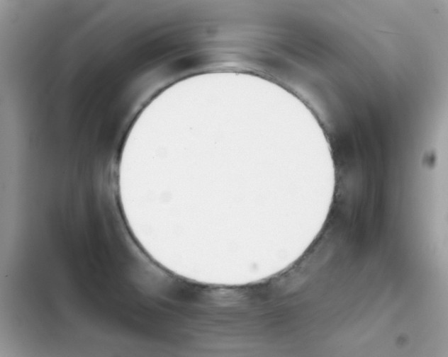 X0000103941476200809191405