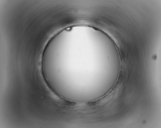 X0000103941477200809191405