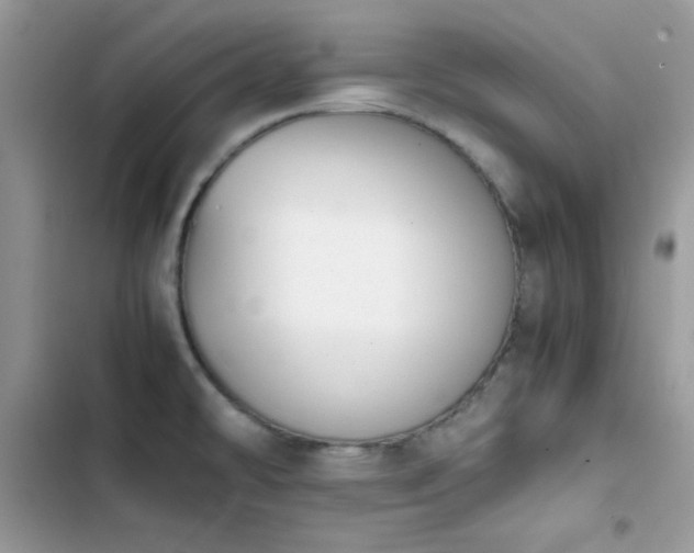X0000103941478200809191405