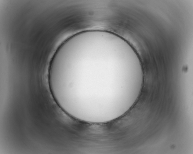 X0000103941480200809191405