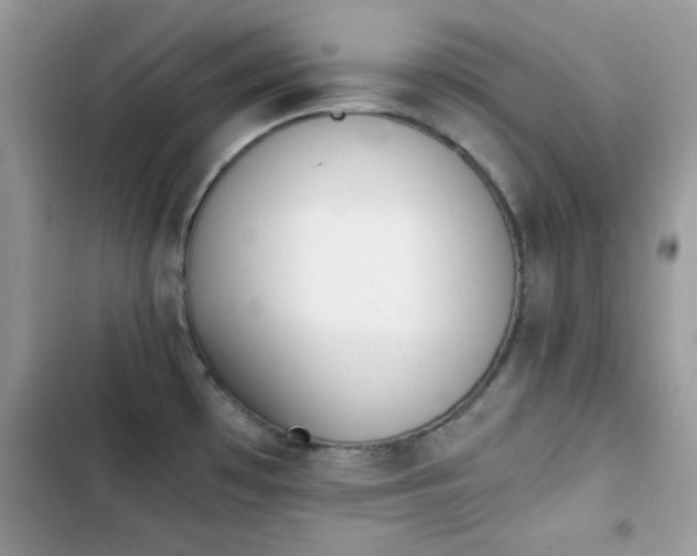 X0000103941481200809191405