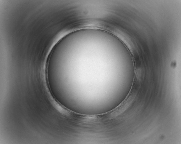X0000103941482200809191405