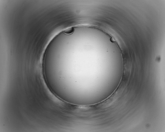 X0000103941483200809191405