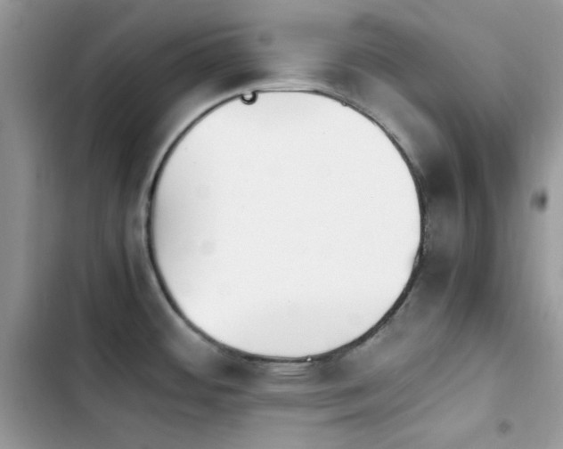 X0000103941484200809191405
