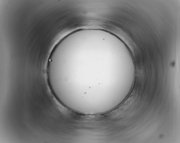 X0000103941485200809191405