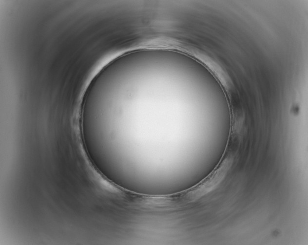 X0000103941486200809191405