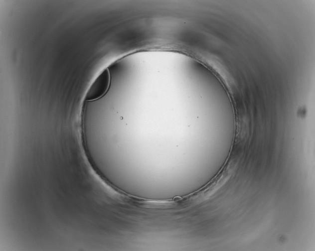 X0000103941487200809191405